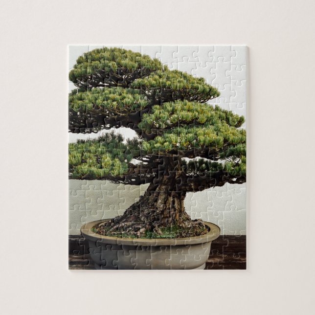 Japanese White Pine Bonsai Tree Jigsaw Puzzle (Vertical)