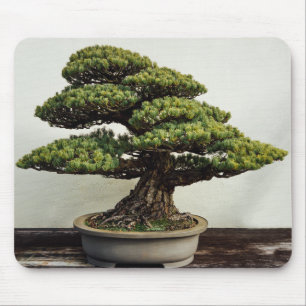 Japanese White Pine Bonsai Tree Mouse Pad