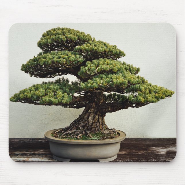 Japanese White Pine Bonsai Tree Mouse Pad (Front)