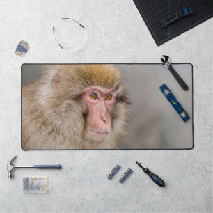 Japanese Wildlife: Brown Snow Monkey Desk Mat