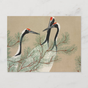 Japanese woodblock-print Cranes - Kamisaka Sekka Postcard
