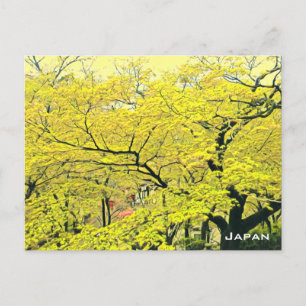 Japanese yellow gingko tree travel print postcard