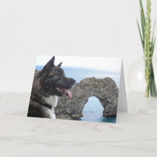 Japaness Akita Card