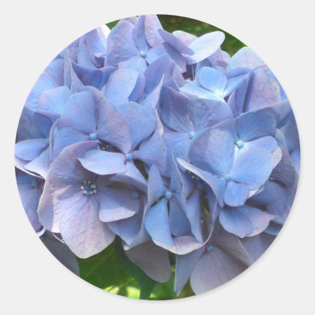 japanflower classic round sticker (Front)