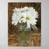 Jar Of Daisies & Hay