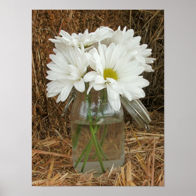 Jar Of Daisies & Hay Poster (Front)