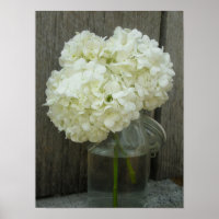 Jar Of Hydrangeas & Barn Wood Poster