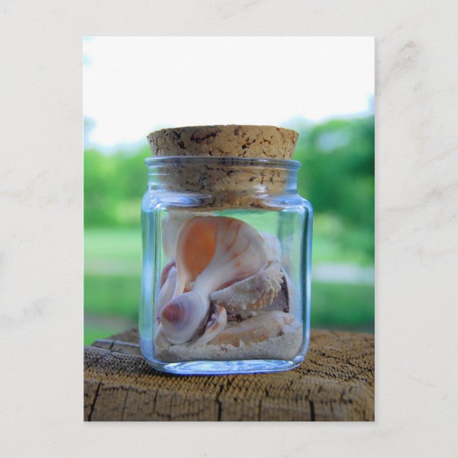Jar of Sea Shells Postcard (Front)