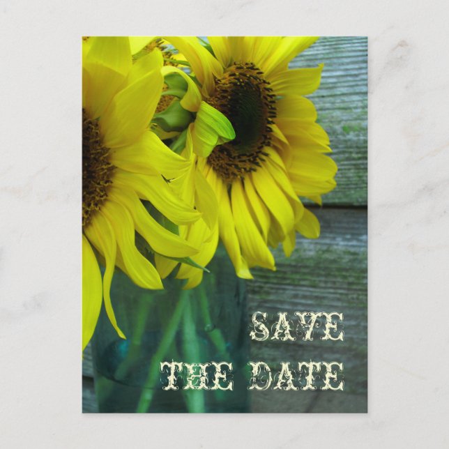 Jar Of Sunflowers Barnwood Fall Save The Date Announcement Postcard (Front)