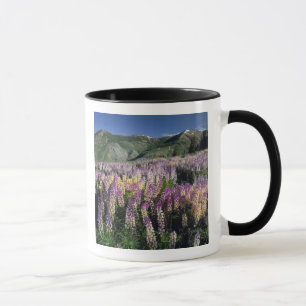 JARBIDGE WILDERNESS, NEVADA. USA. Spur lupine Mug