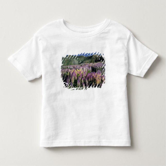 JARBIDGE WILDERNESS, NEVADA. USA. Spur lupine Toddler T-Shirt (Front)