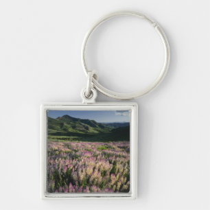 Jarbridge Wilderness and Mountains, Nevada, Spur Key Ring