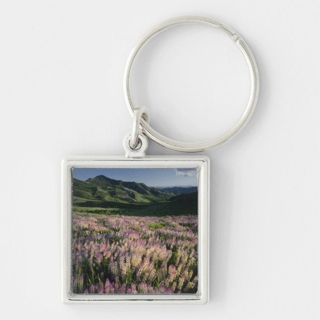 Jarbridge Wilderness and Mountains, Nevada, Spur Key Ring (Front)