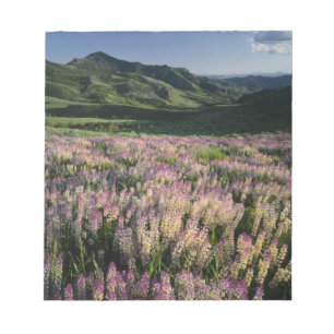 Jarbridge Wilderness and Mountains, Nevada, Spur Notepad