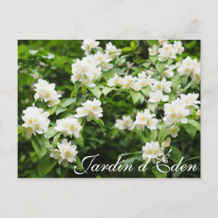 Jardin d'Éden Postcard