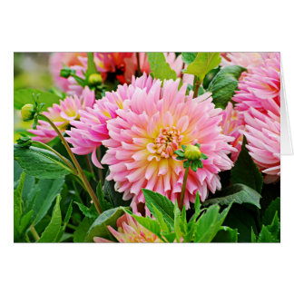 Jardin des Plantes-4