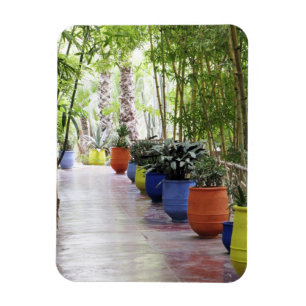 Jardin Majorelle, Majorelle Garden, now a public Magnet