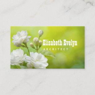Jasmine flower on greenery business card