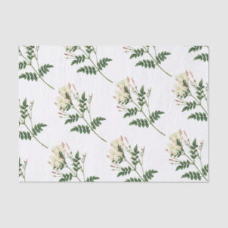 Jasmine Flower Pattern Tissue Paper