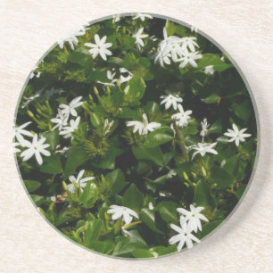 Jasmine Flowers Tropical Botanical Floral Coaster