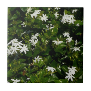 Jasmine Flowers Tropical Floral Botanical Ceramic Tile