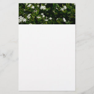 Jasmine Flowers Tropical Floral Botanical Stationery