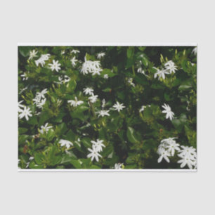 Jasmine Flowers Tropical Floral Botanical Tissue Paper