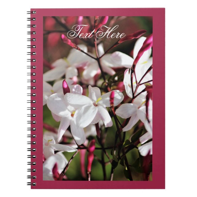 Jasmine Maroon Spiral Photo Notebook (Front)