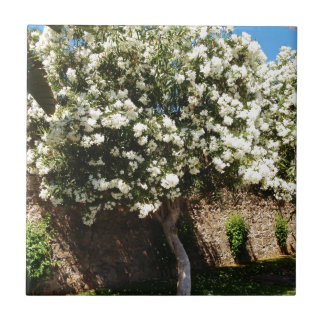 Jasmine Tree In Bloom Ceramic Tile