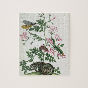 Jasmine: with snake, moth, caterpiller and chrysal jigsaw puzzle