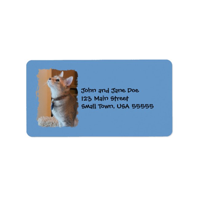 Jasper Kitten Photo Blue Address Labels (Front)
