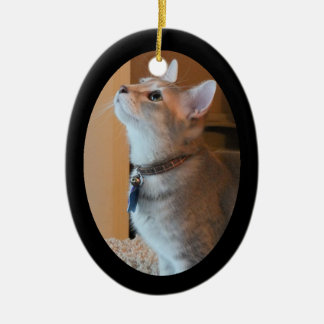 Jasper Kitten Photo Framed 2-Sided Oval Ornament