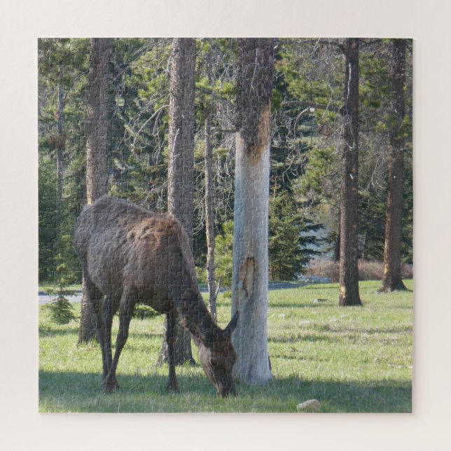 Jasper National Park, Alberta Canada Puzzle (Vertical)