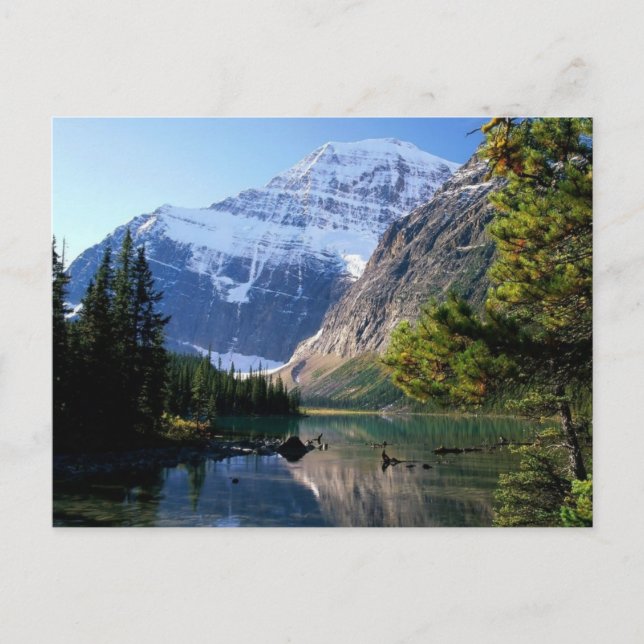 Jasper National Park, Alberta Postcard (Front)