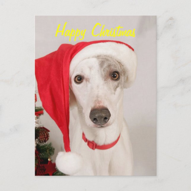 Jasper the Christmas Dog Holiday Postcard (Front)