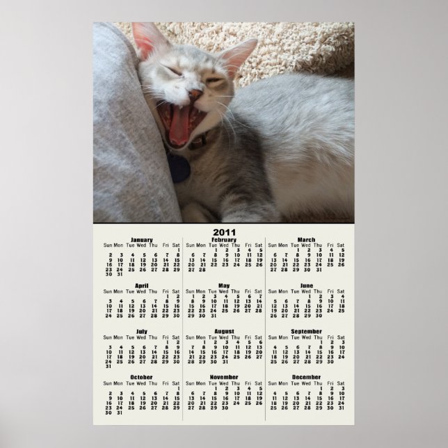 Jasper Yawning Kitten 2011 Calendar Poster (Front)