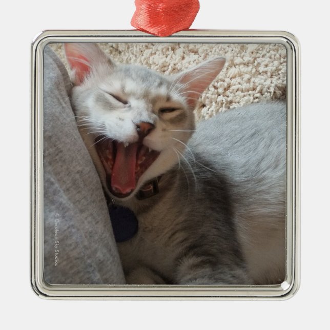 Jasper Yawning Kitten Photo Square Metal Ornament (Front)