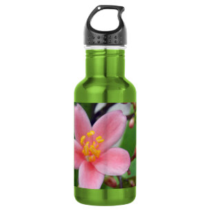 Jatropha Flower and flower buds 532 Ml Water Bottle