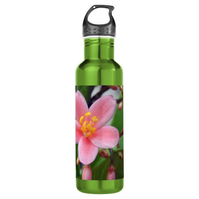 Jatropha Flower and flower buds 710 Ml Water Bottle (Front)