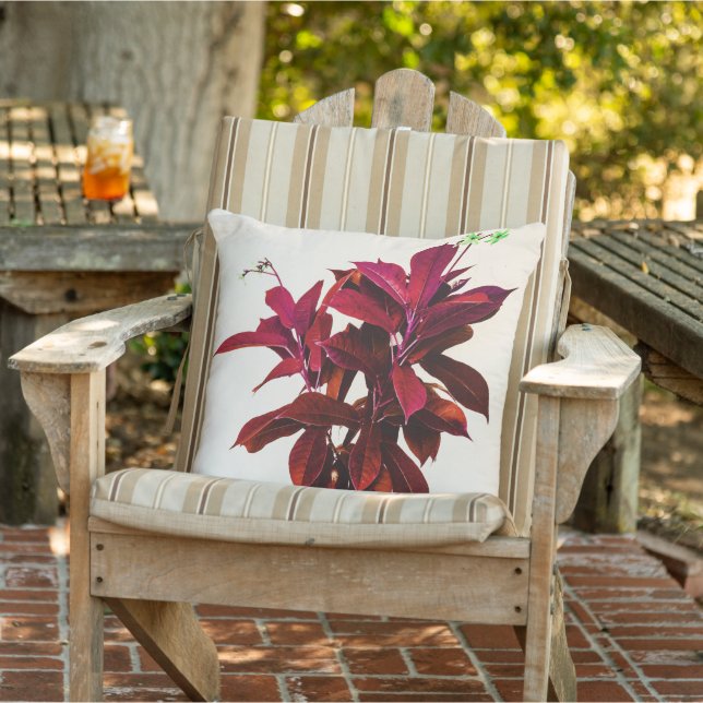 Jatropha Plant in Deep Red Cushion (Chair)