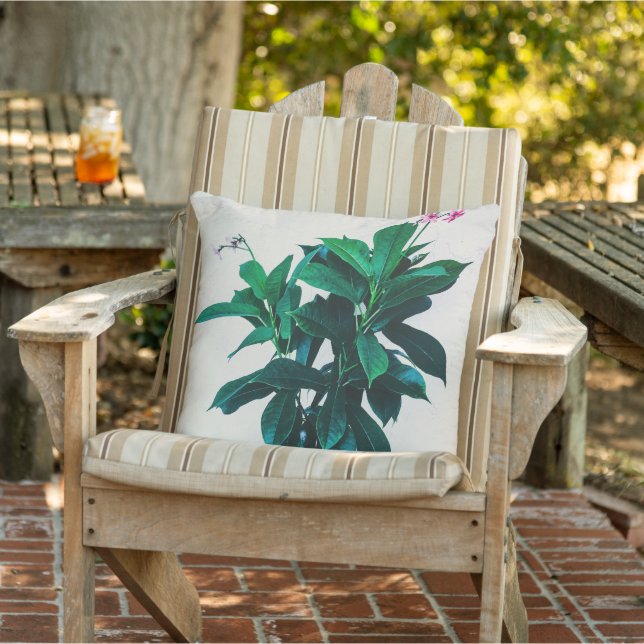 Jatropha Plant in Natural Green Cushion (Chair)
