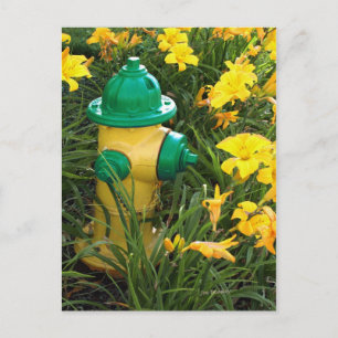 Jaune et gree postcard