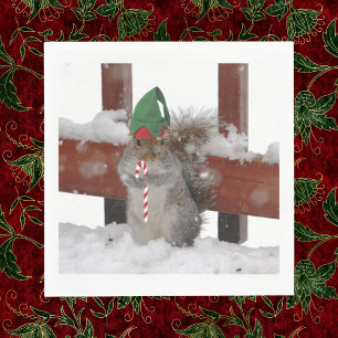Jaunty Elf Squirrel with Candy Cane Napkins