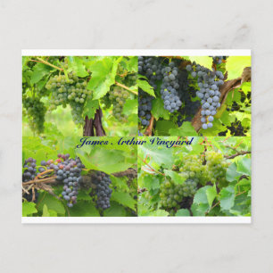 JAV Collage Postcard 2013 9