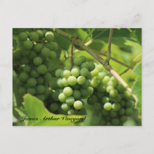 JAV Green. St. Croix postcard 10