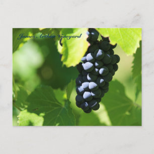 JAV St. Croix purple grapes 2014 100n Postcard