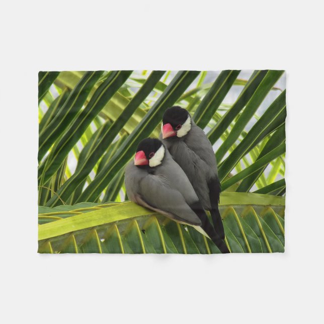 Java Sparrow Fleece Blanket (Front (Horizontal))