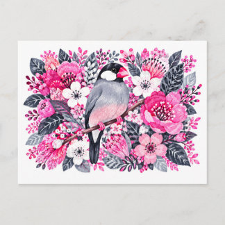Java Sparrow Pink White Floral Marker Illustration Postcard