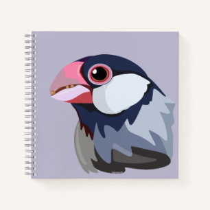 Java Sparrow—simplified Notebook