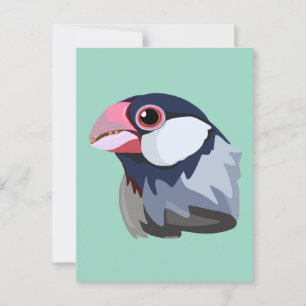 Java Sparrow—simplified Postcard